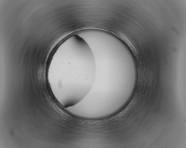 X0000113350884200910061016