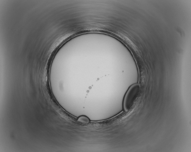 X0000113350885200910061016