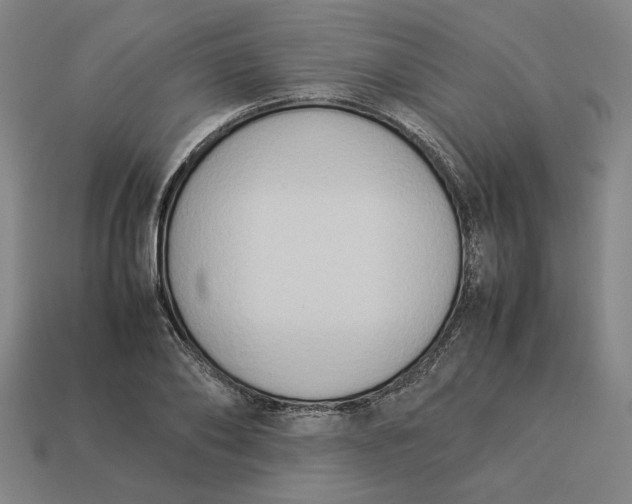 X0000113350886200910061016