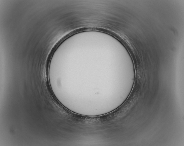 X0000113350887200910061016