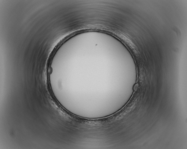 X0000113350888200910061016