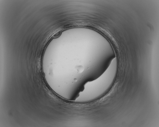 X0000113350889200910061016