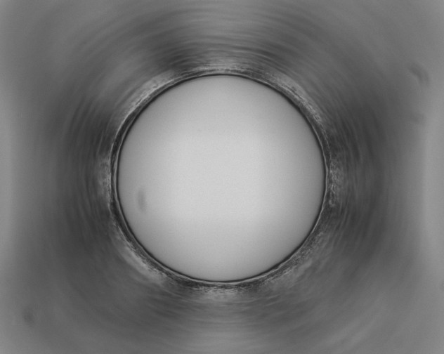 X0000113350890200910061016