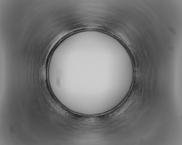 X0000113350891200910061016