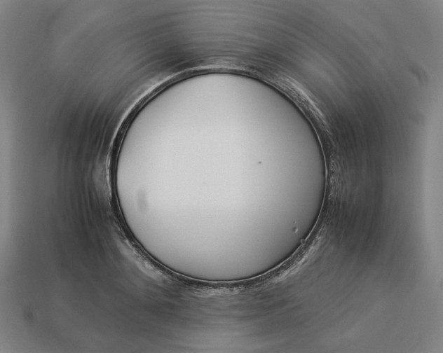 X0000113350892200910061016