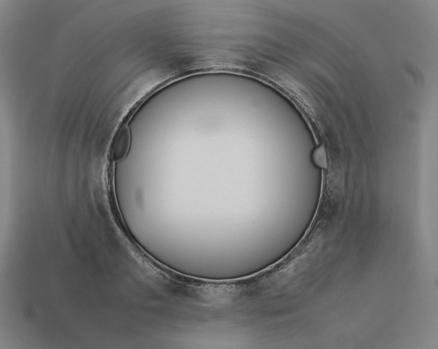 X0000113350893200910061016