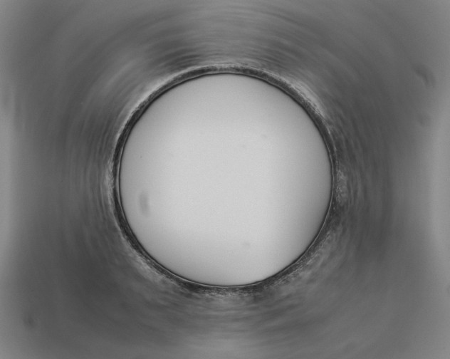 X0000113350895200910061016