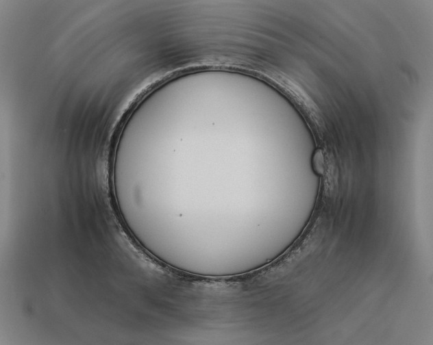 X0000113350896200910061016