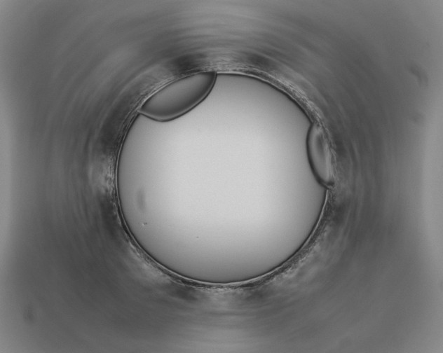 X0000113350897200910061016