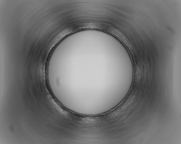 X0000113350898200910061016