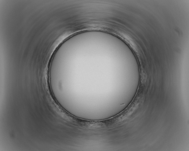 X0000113350899200910061016