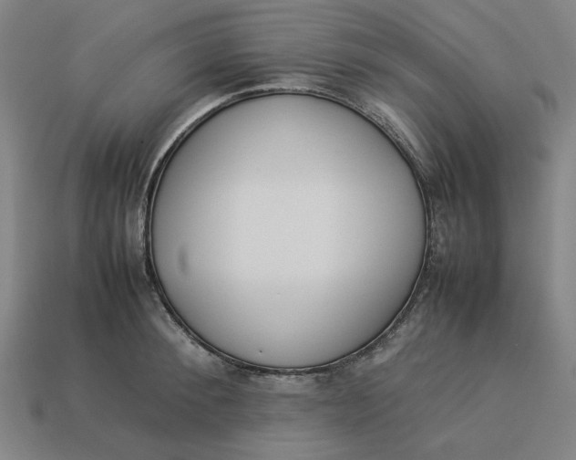 X0000113350900200910061016