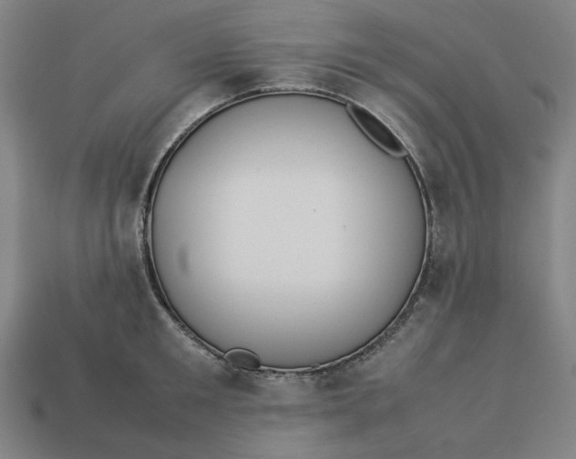 X0000113350901200910061016