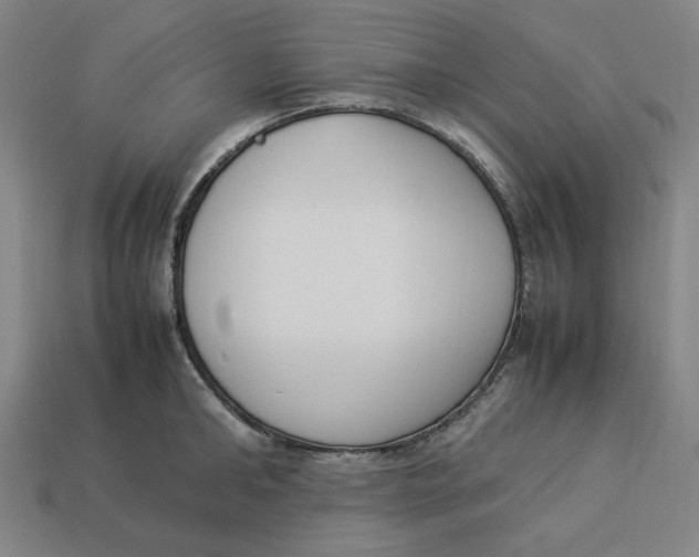 X0000113350902200910061016