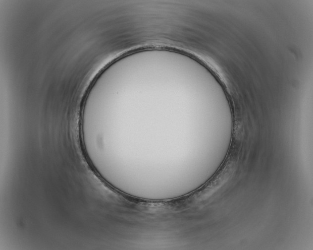 X0000113350903200910061016