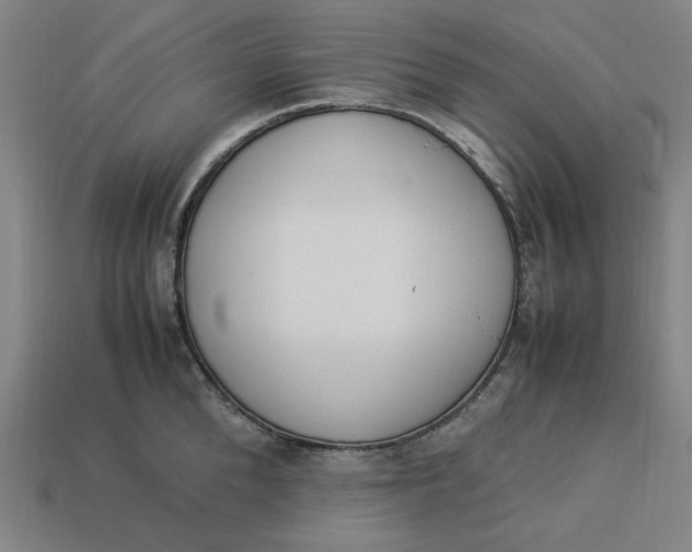 X0000113350904200910061016