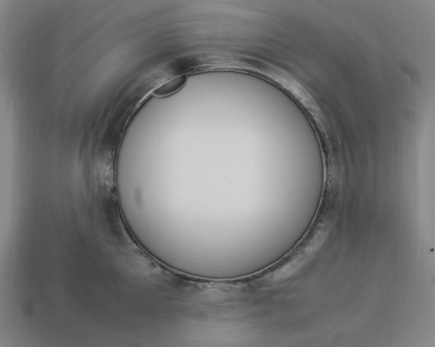 X0000113350905200910061016