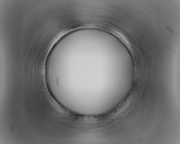 X0000113350907200910061016