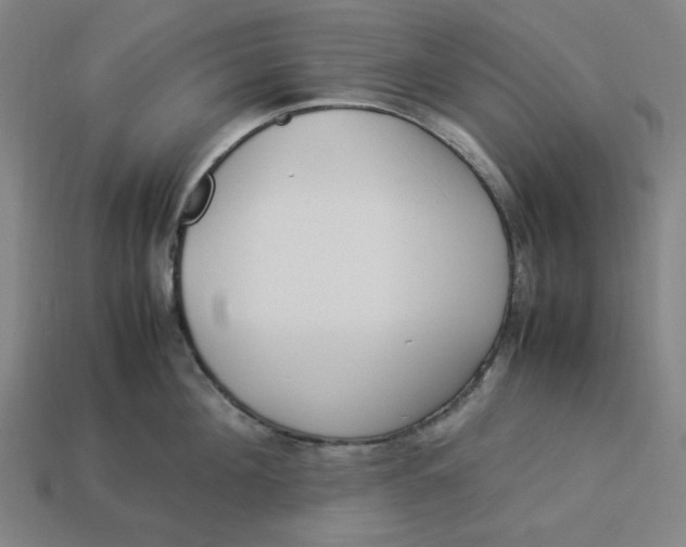 X0000113350908200910061016