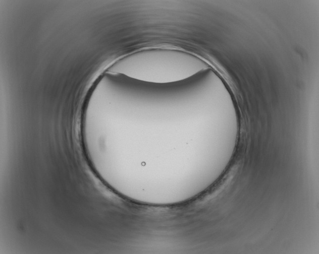 X0000113350909200910061016