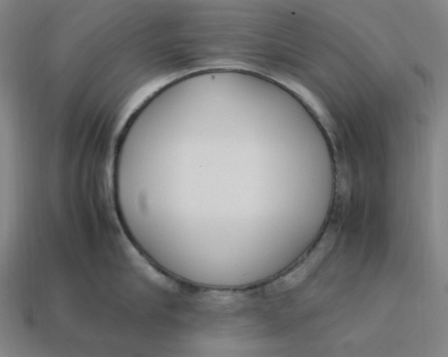 X0000113350910200910061016