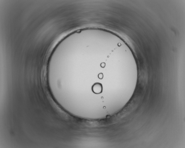 X0000113350911200910061016