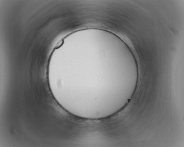 X0000113350912200910061016