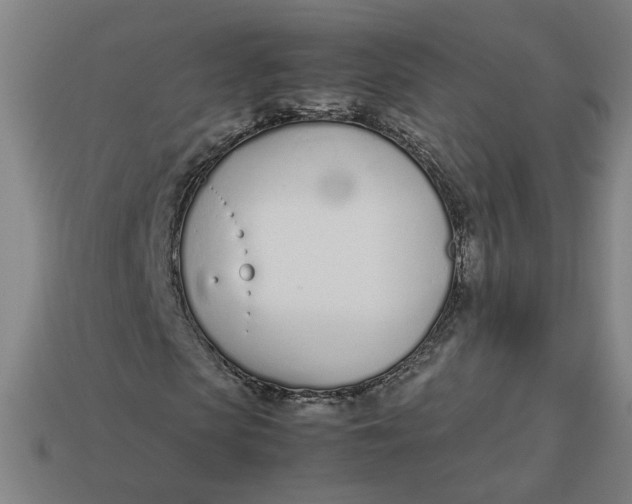 X0000113350913200910061015