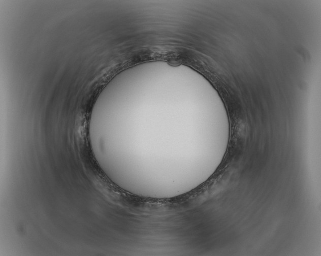 X0000113350914200910061015