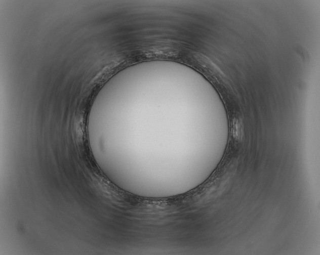 X0000113350915200910061015