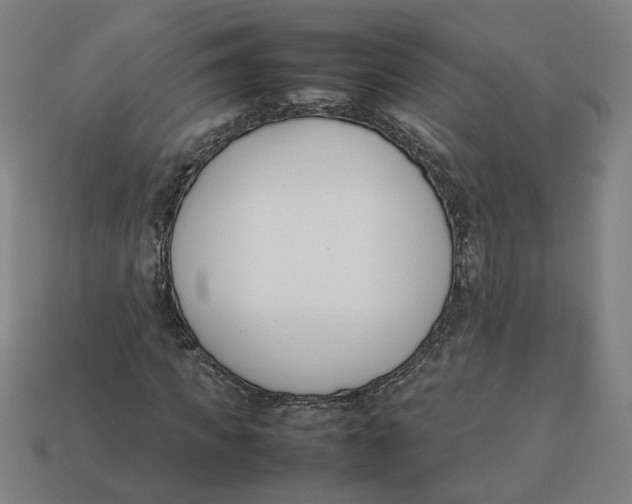 X0000113350917200910061015