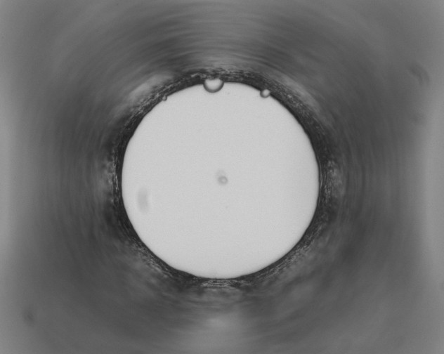 X0000113350918200910061015