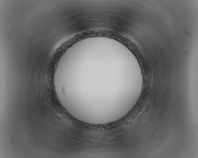 X0000113350919200910061015