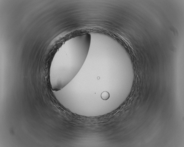 X0000113350920200910061015