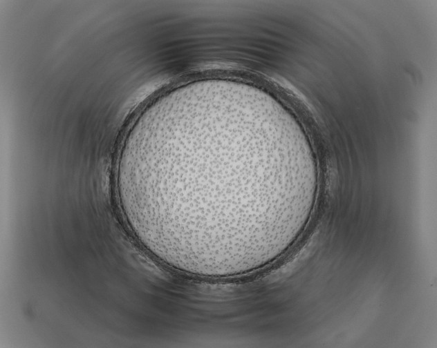 X0000113350921200910061015