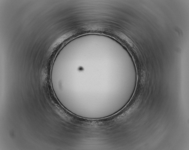 X0000113350922200910061015