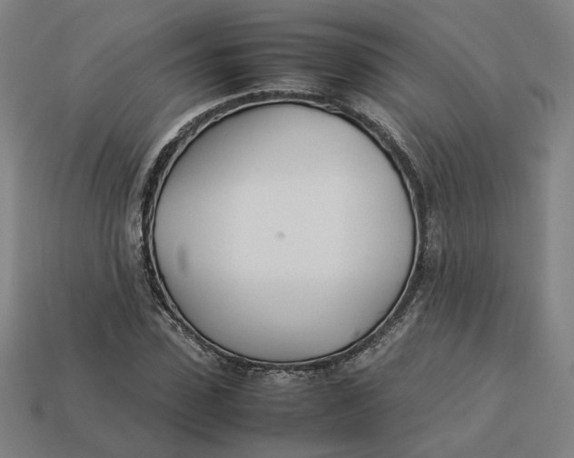 X0000113350923200910061015