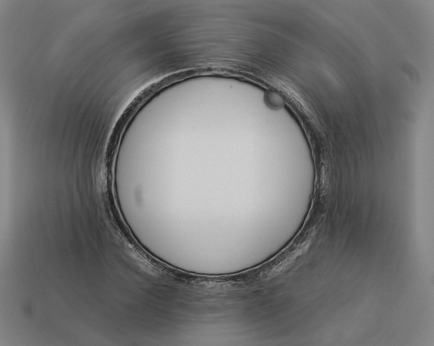 X0000113350924200910061015