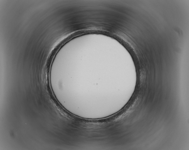 X0000113350925200910061015