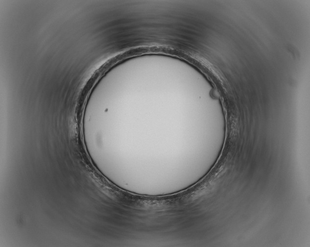 X0000113350927200910061016