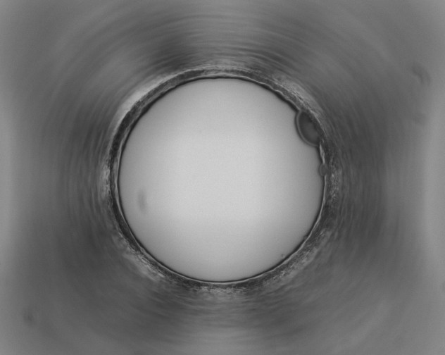 X0000113350928200910061016