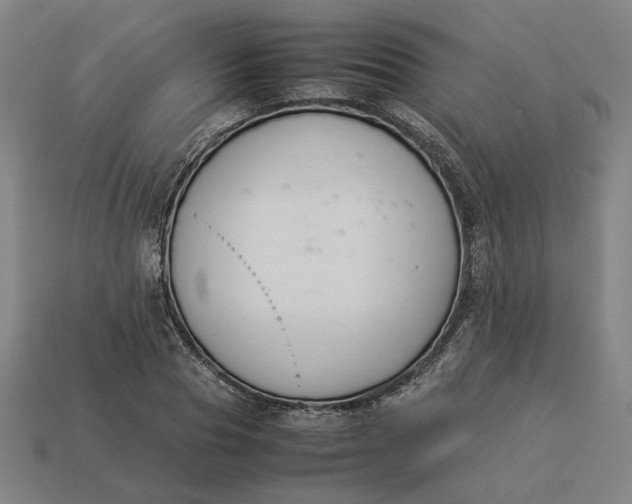 X0000113350929200910061016