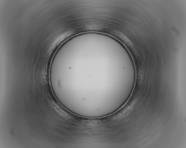 X0000113350930200910061016