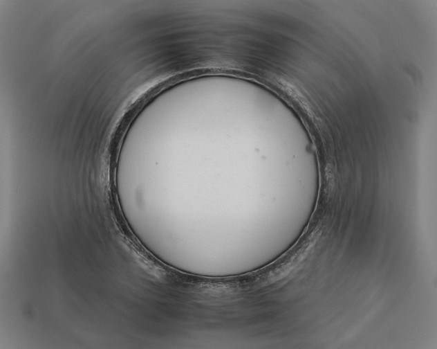 X0000113350931200910061016