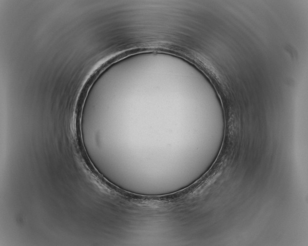 X0000113350932200910061016