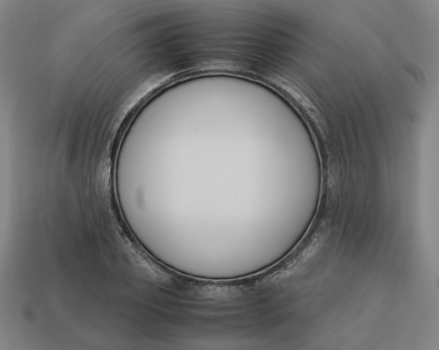 X0000113350933200910061016