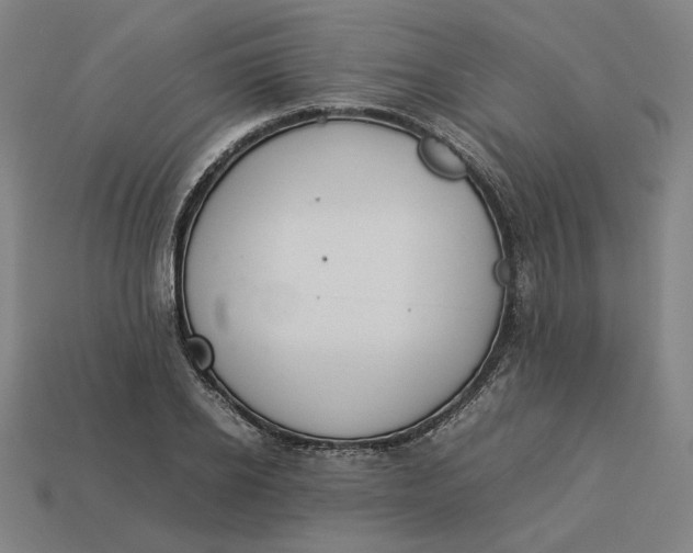 X0000113350934200910061016