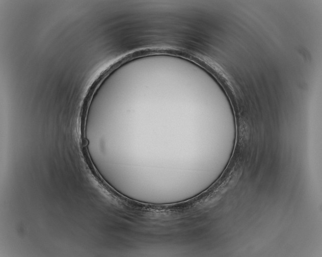 X0000113350935200910061016