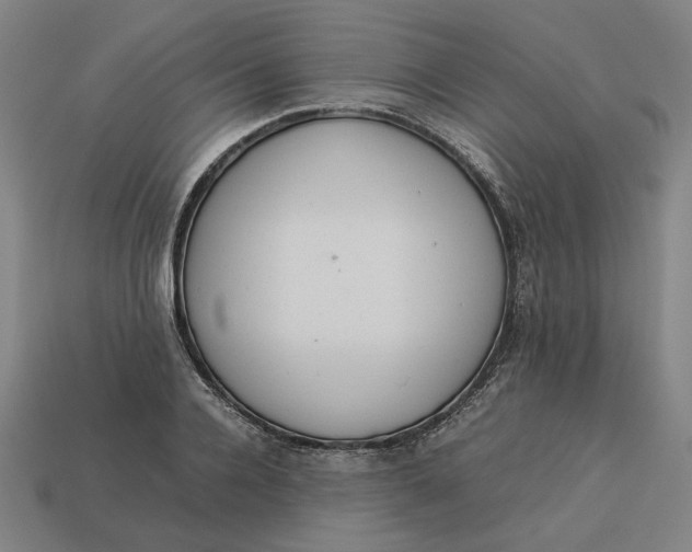 X0000113350936200910061016