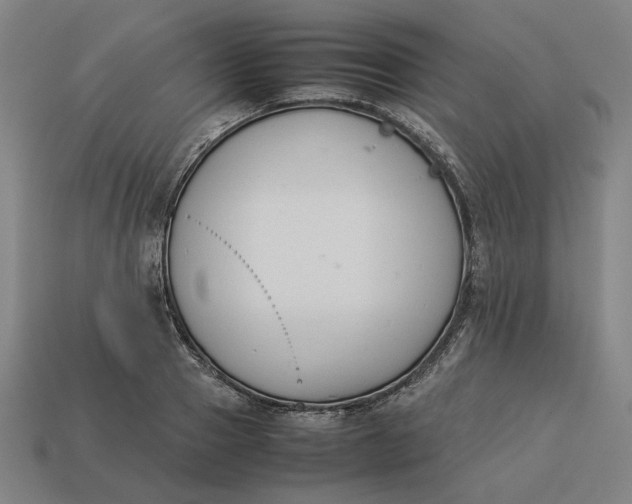 X0000113350937200910061016